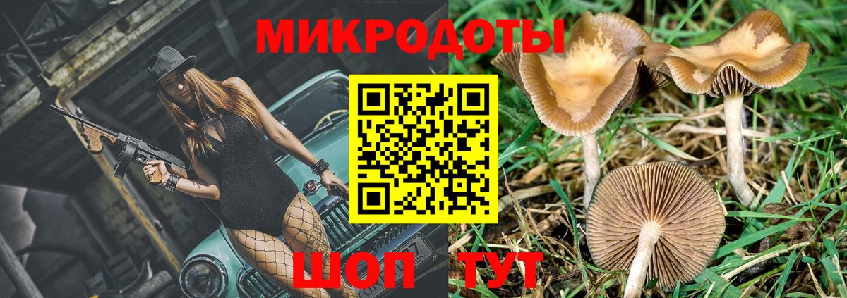 Псилоцибиновые грибы Magic Shrooms  Вход с VPN  Мариинск  Псилоцибиновые грибы мухоморы 