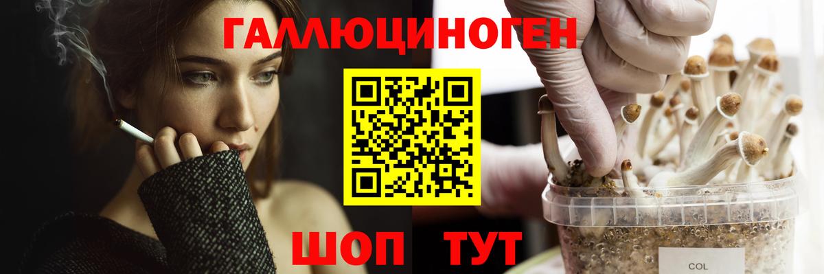 Псилоцибиновые грибы ЛСД Мариинск